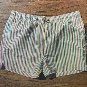 Colorful Striped Kids Swim Trunks